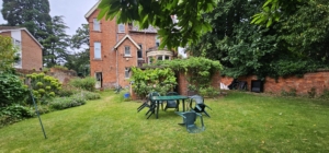 beautiful peaceful garden space